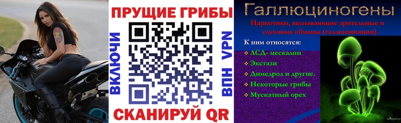 Псилоцибиновые грибы Magic Shrooms  Кызыл 